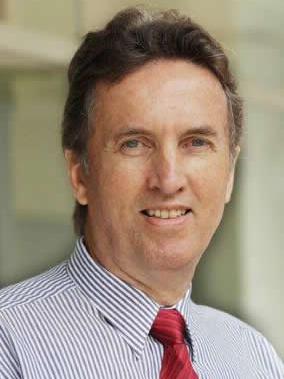 Professor Brian Head